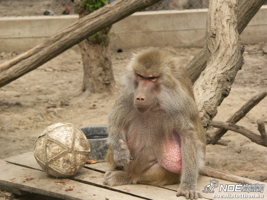 pict2484.jpg