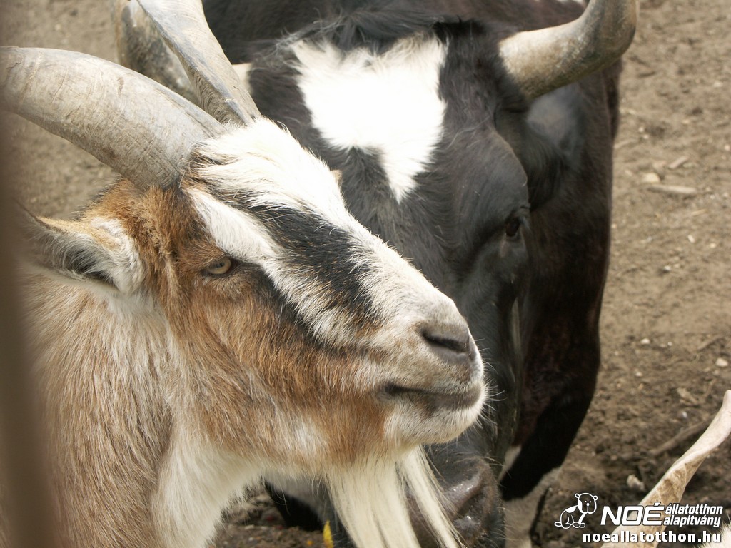 pict2507.jpg