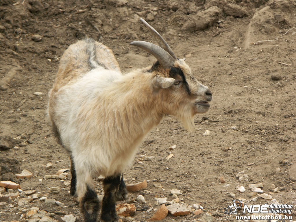 pict2511.jpg