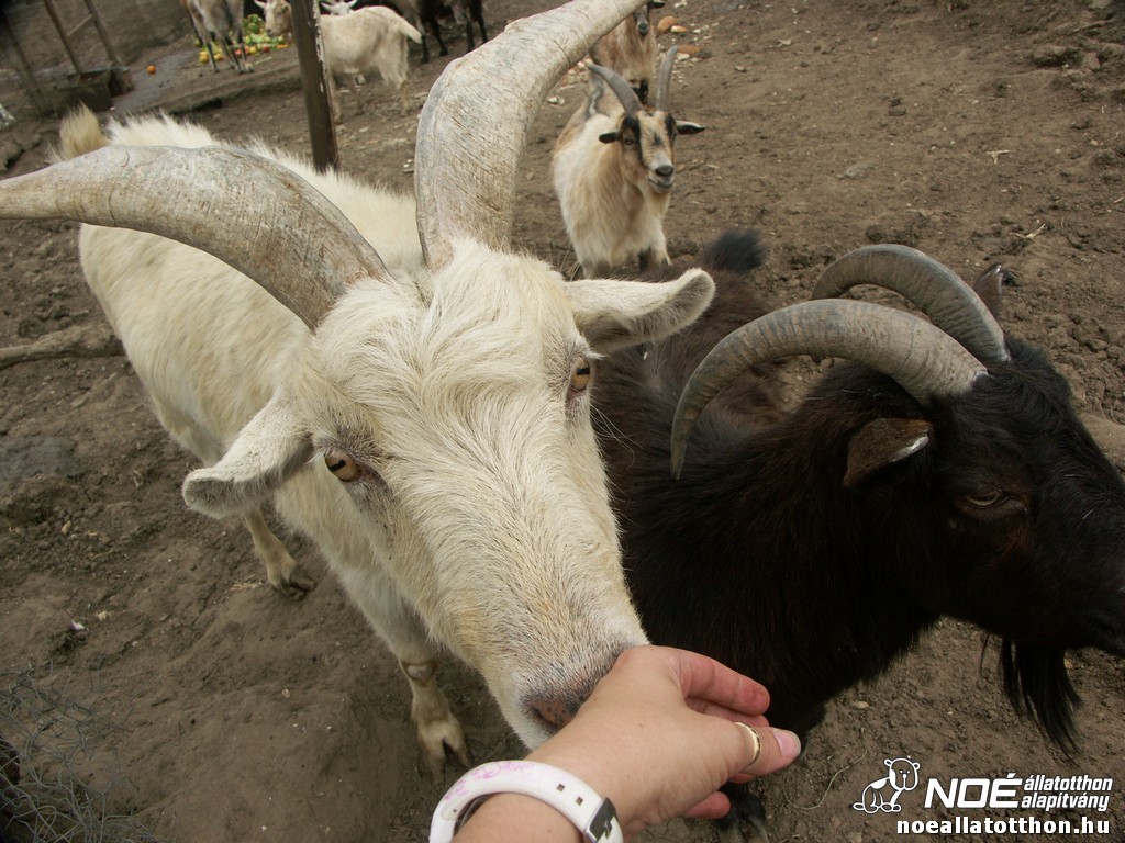 pict2544.jpg