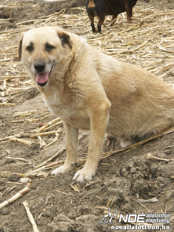 pict2555.jpg