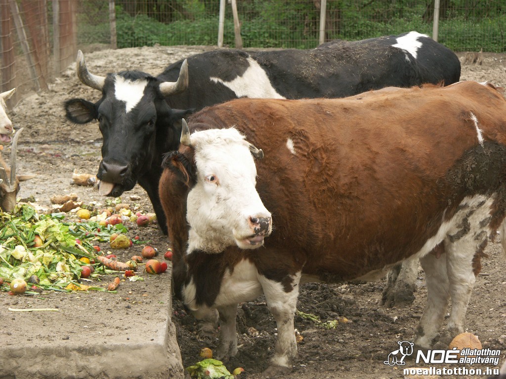 pict2557.jpg
