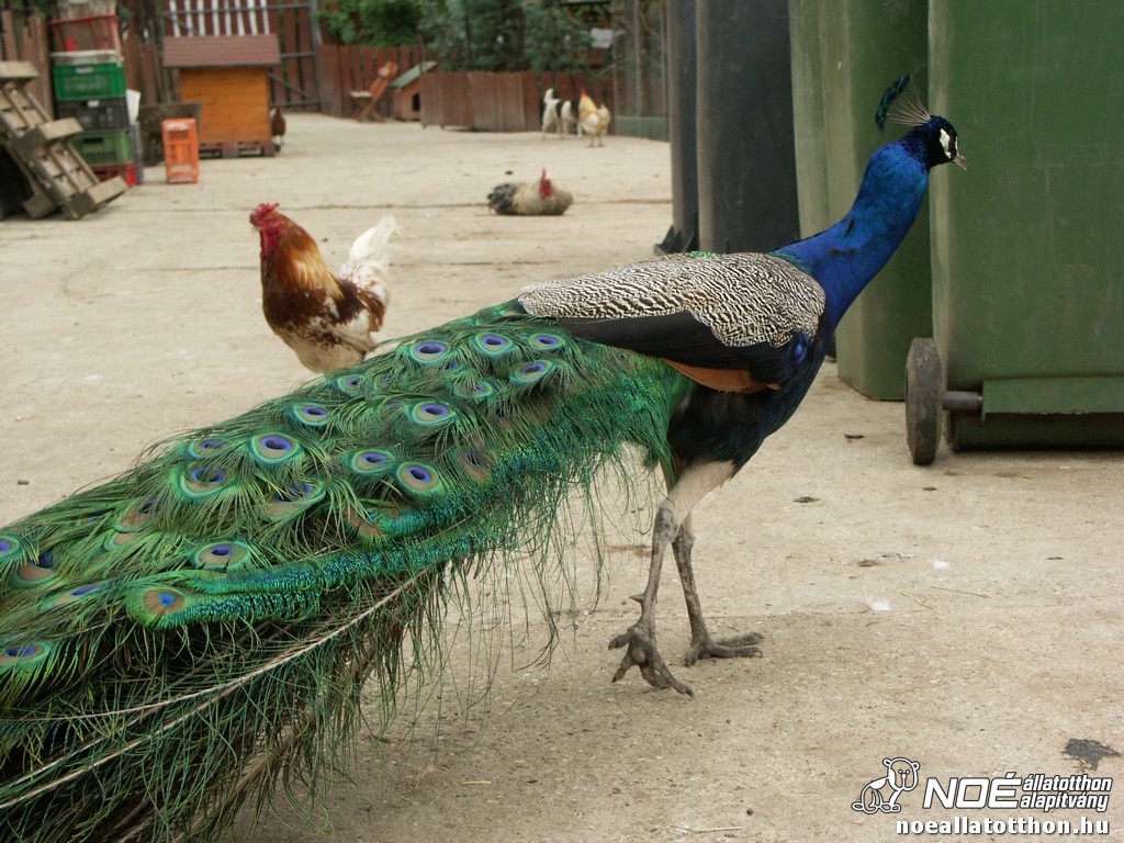 pict2571.jpg