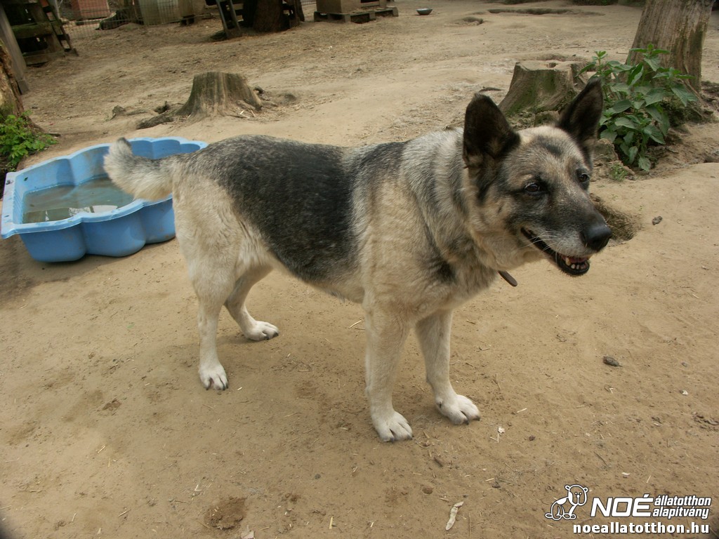 pict2668.jpg