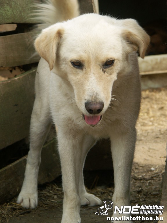 pict2687.jpg