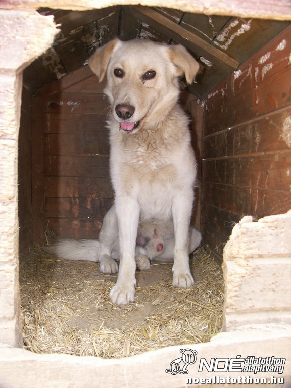 pict2692.jpg