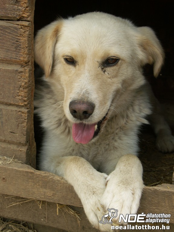 pict2701.jpg