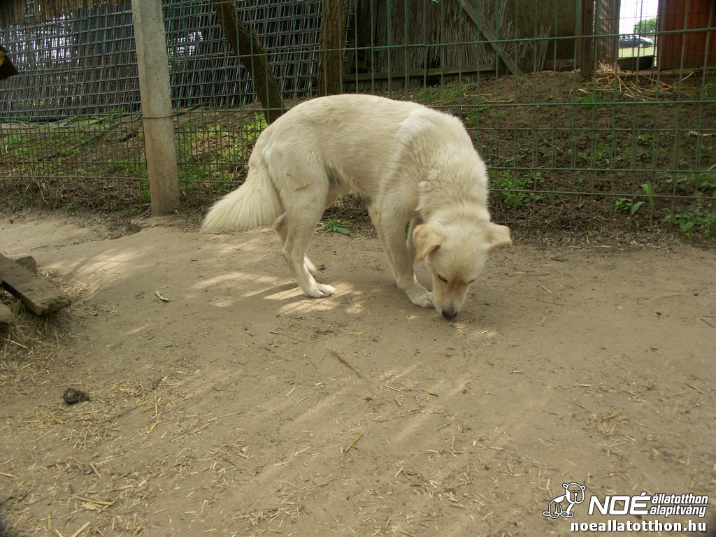 pict2711.jpg