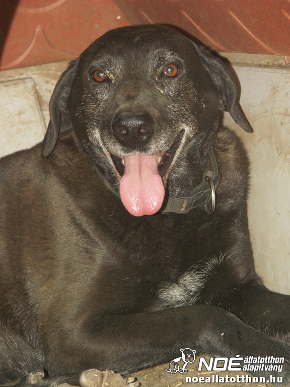 pict2919.jpg