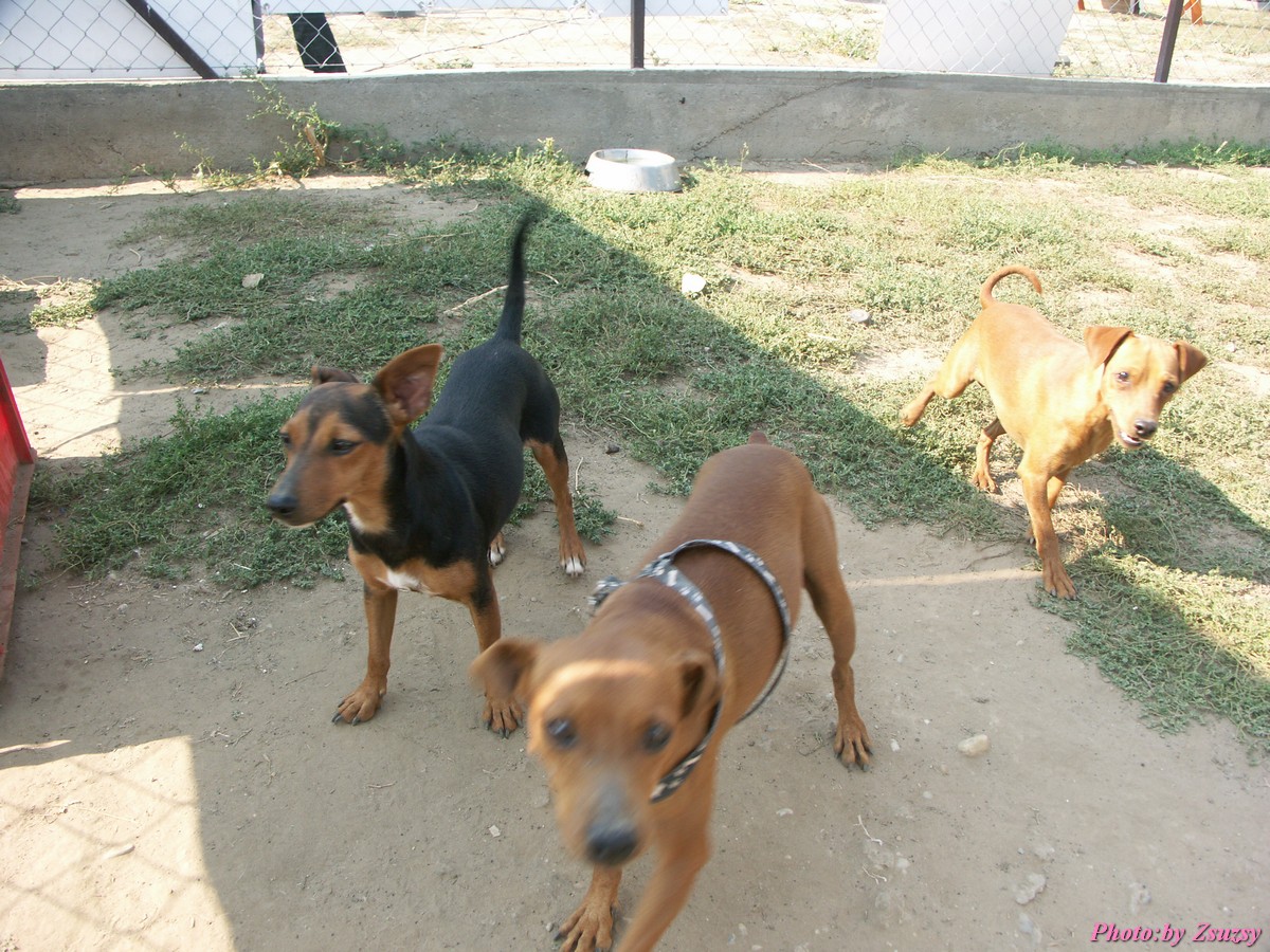 pict6608.jpg
