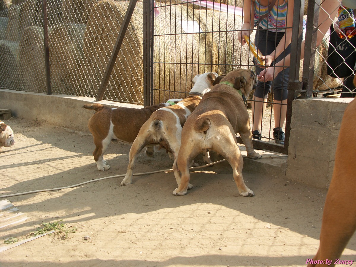 pict6611.jpg