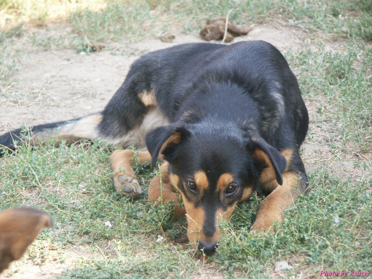 pict6612.jpg