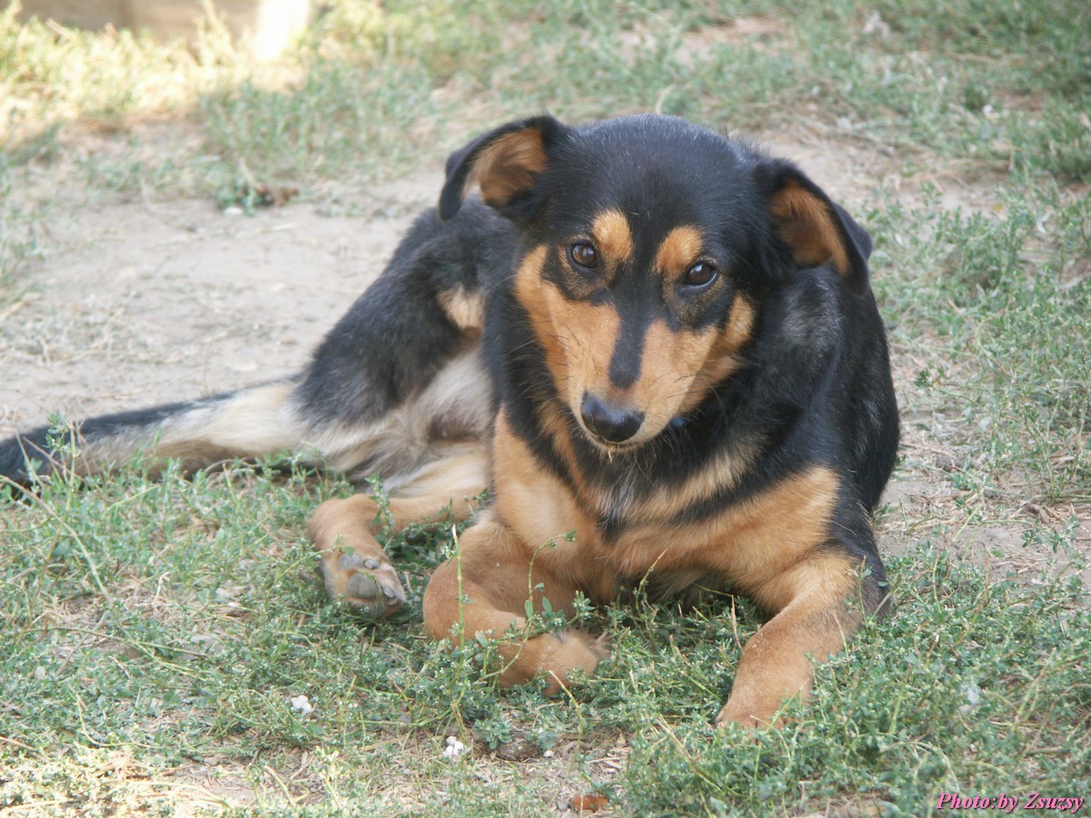 pict6613.jpg