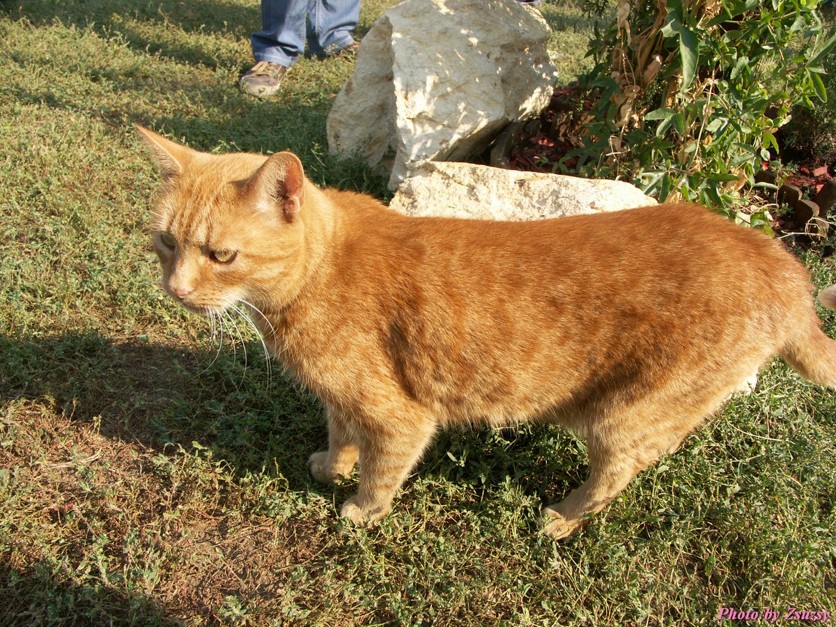 pict6631.jpg