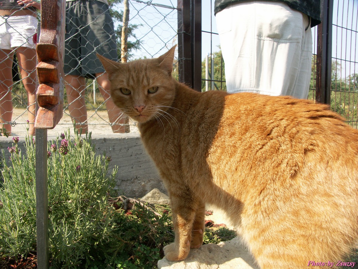 pict6633.jpg