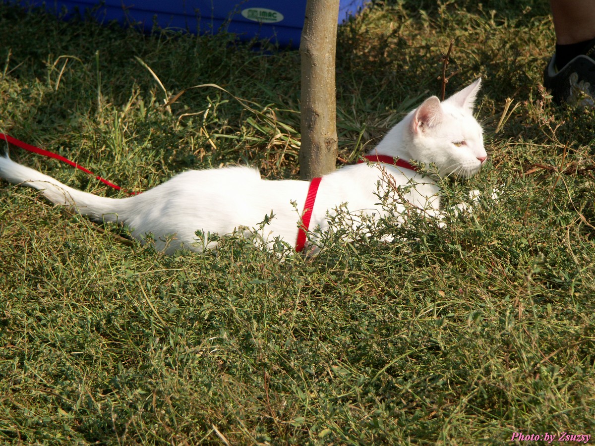 pict6635.jpg