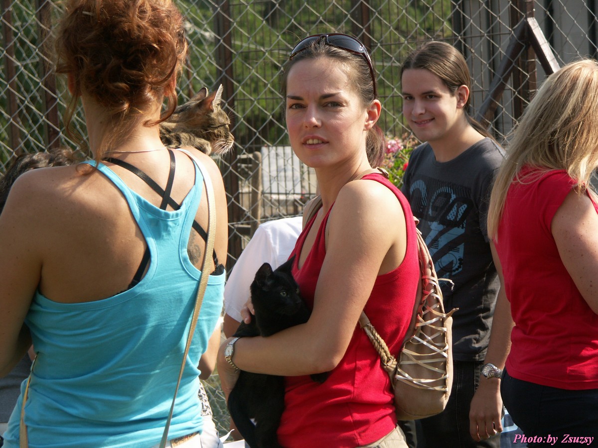 pict6636.jpg