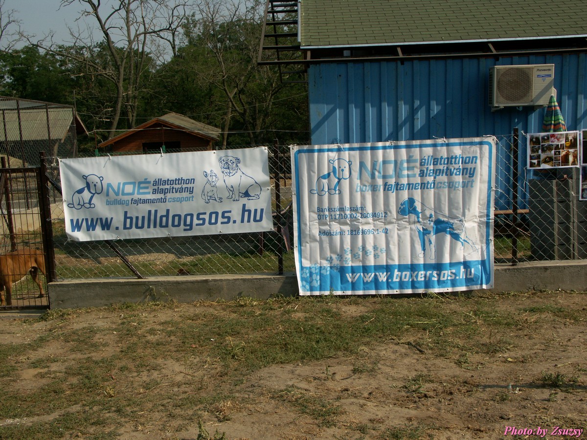 pict6649.jpg