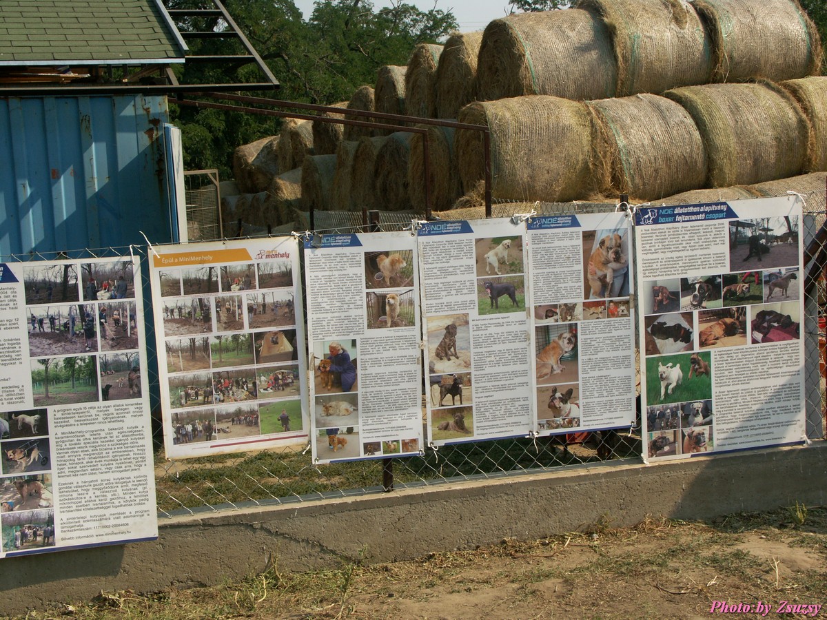 pict6651.jpg