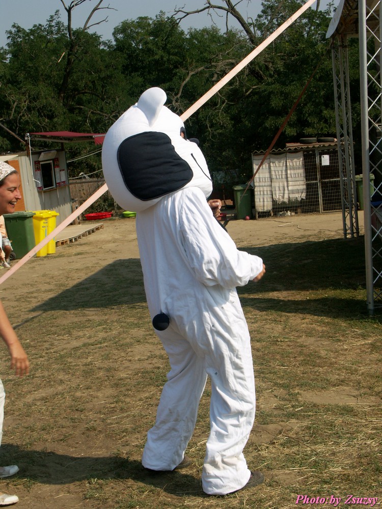 pict6658.jpg