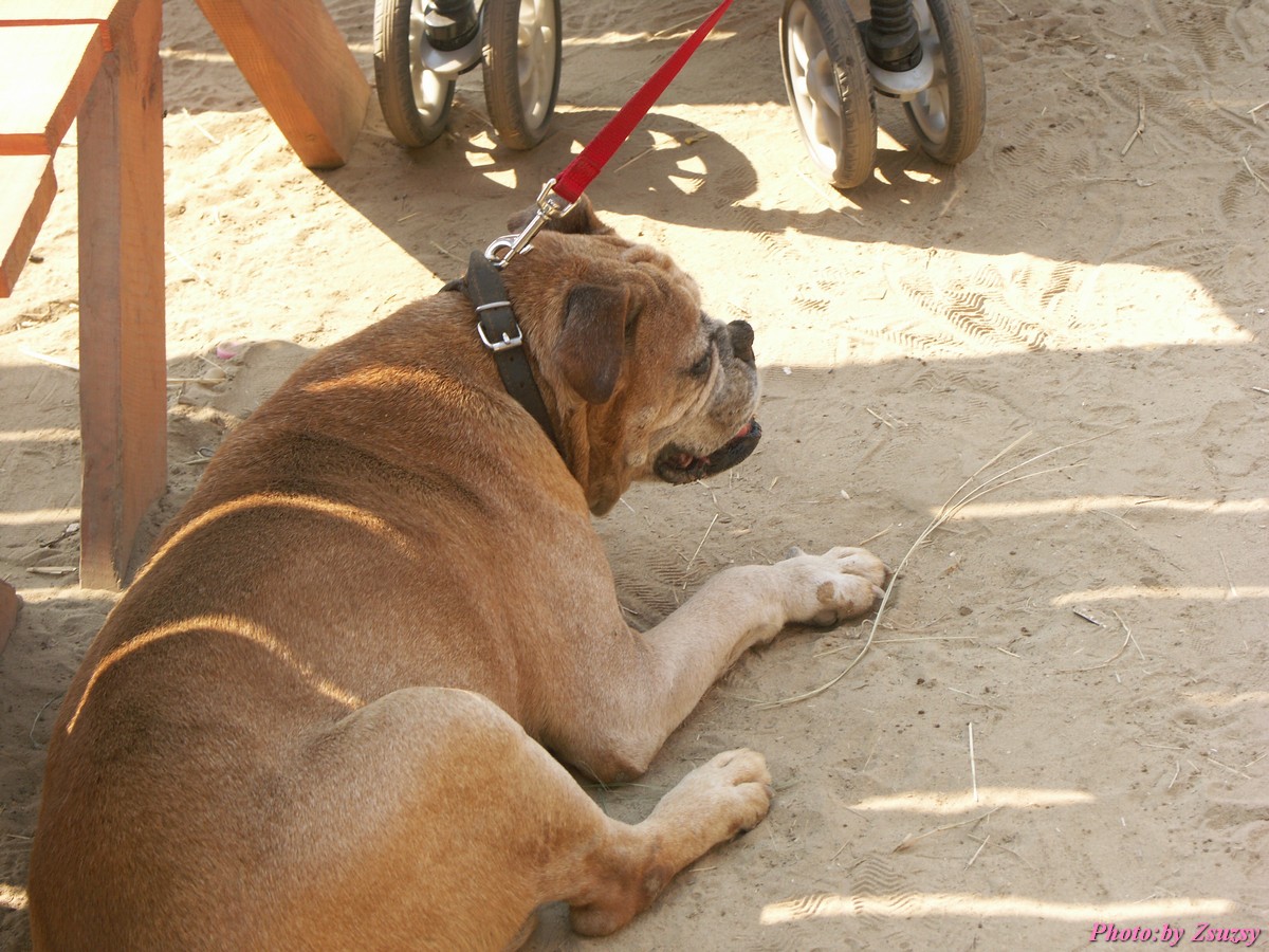 pict6667.jpg
