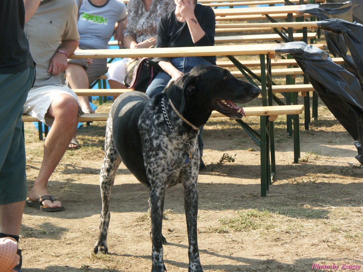 pict6670.jpg
