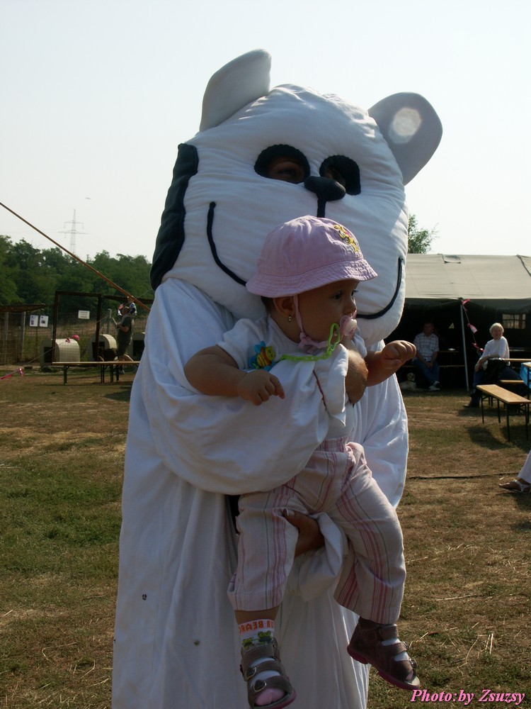 pict6673.jpg