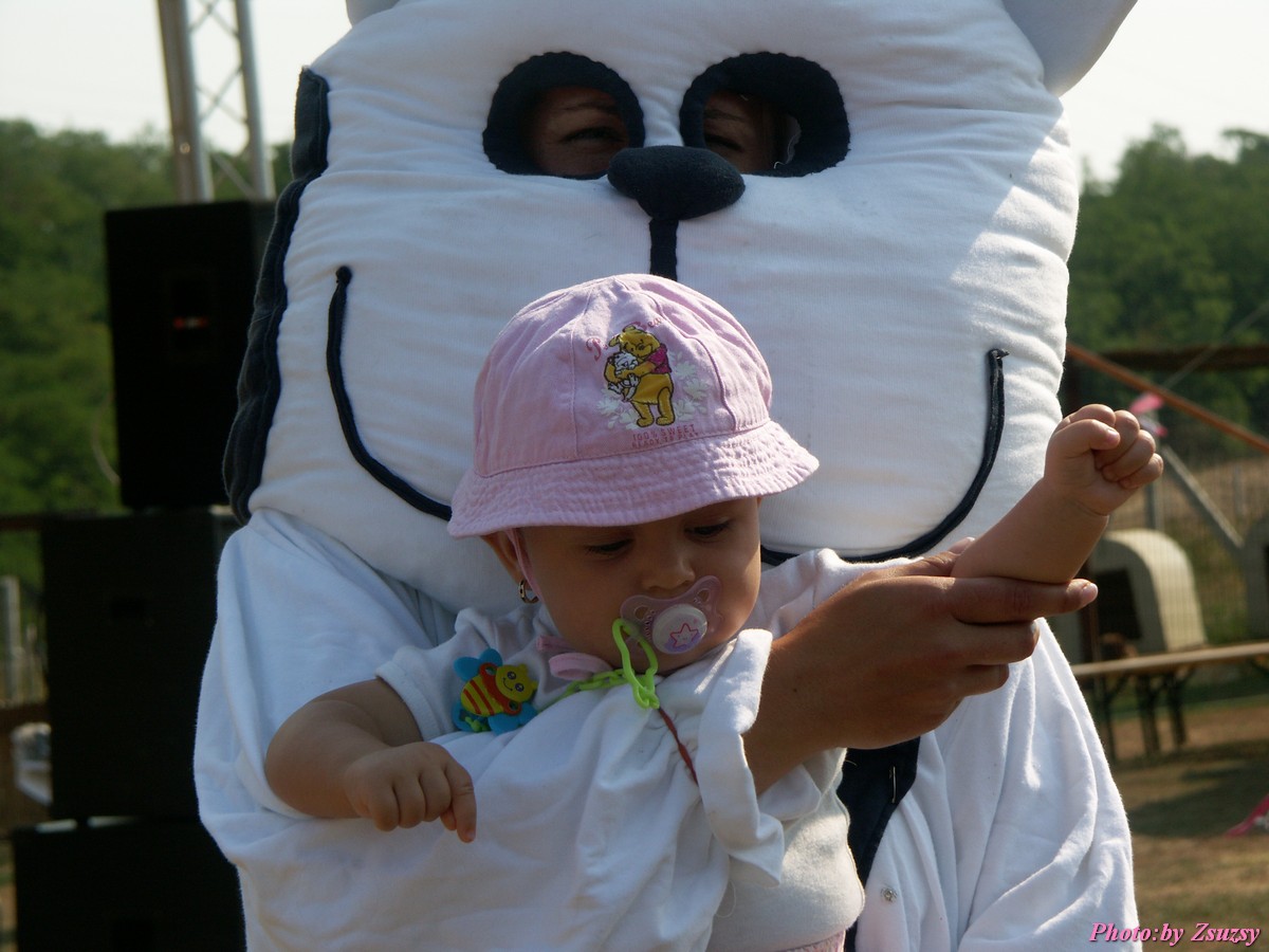 pict6675.jpg