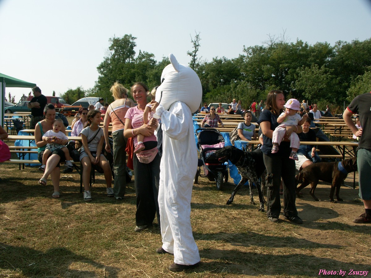 pict6682.jpg