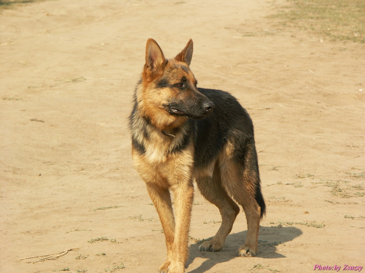 pict6691.jpg
