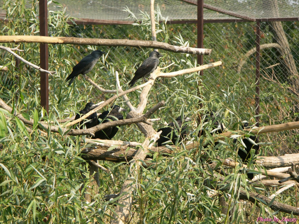 pict6695.jpg