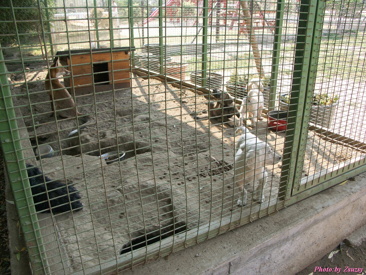 pict6697.jpg
