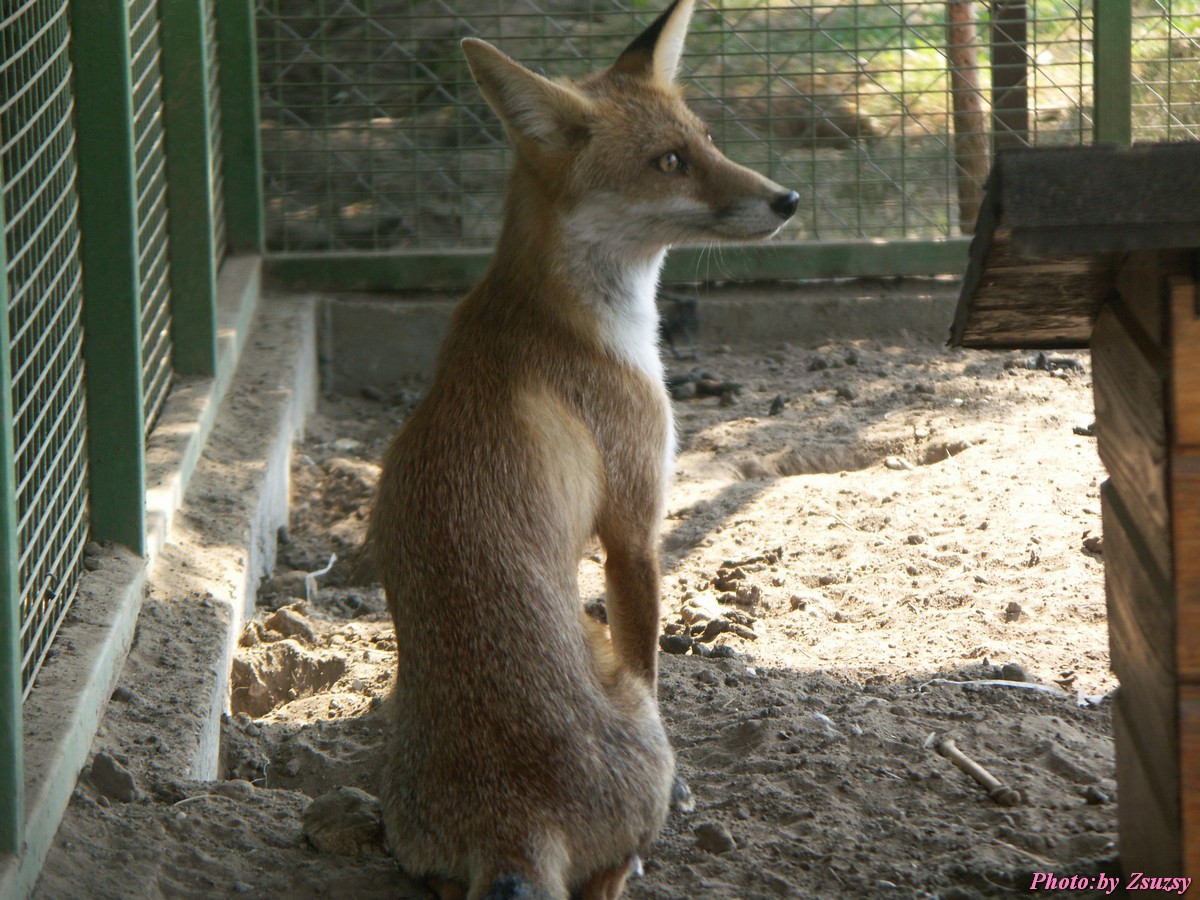 pict6700.jpg