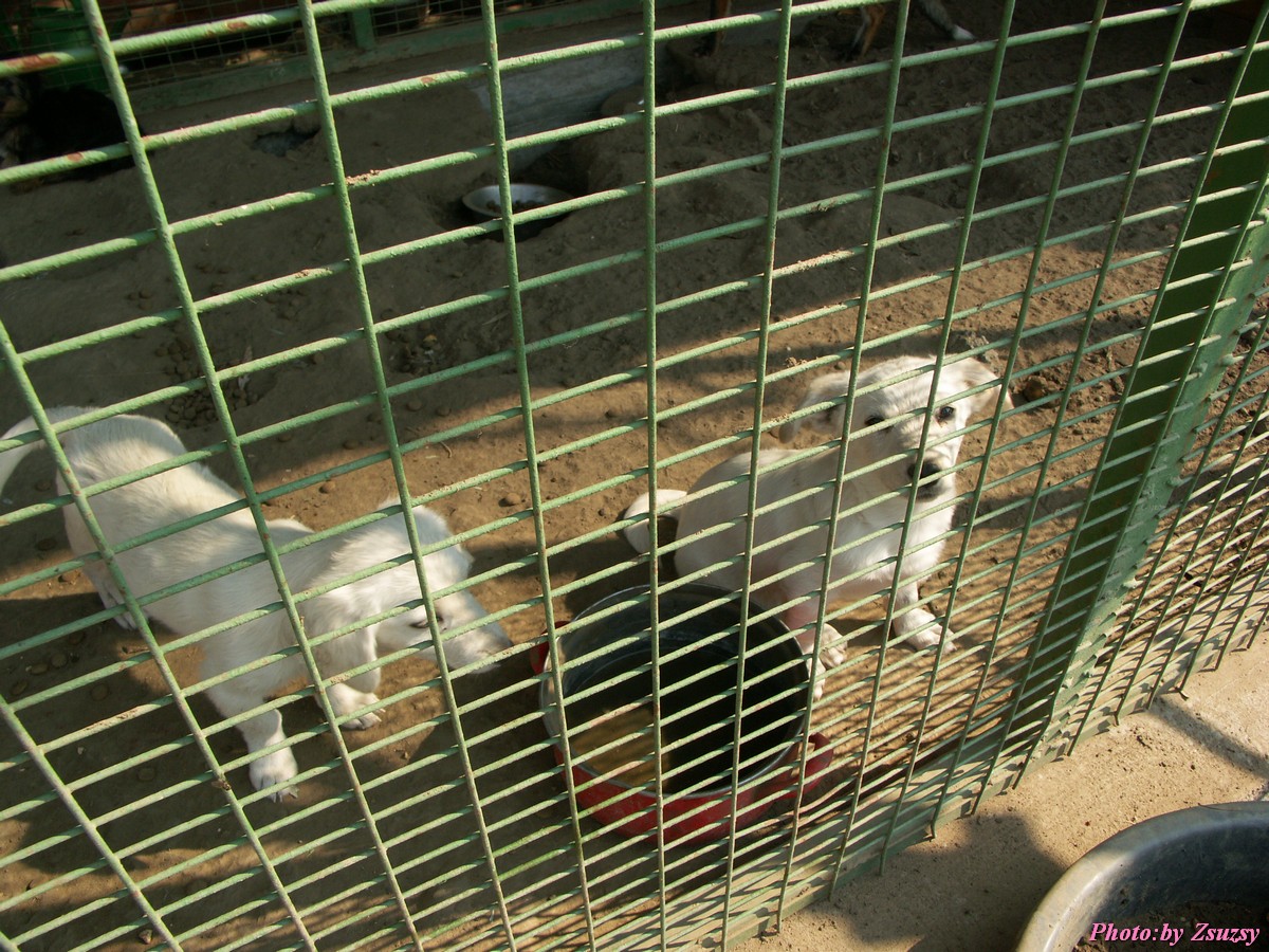 pict6706.jpg