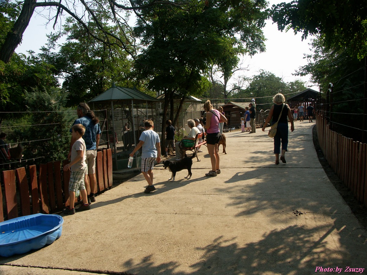 pict6709.jpg