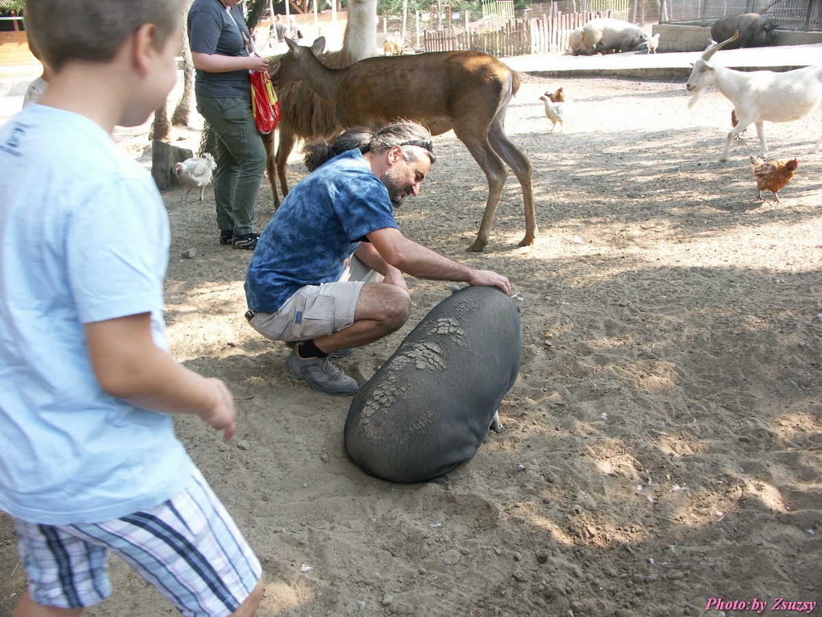 pict6710.jpg