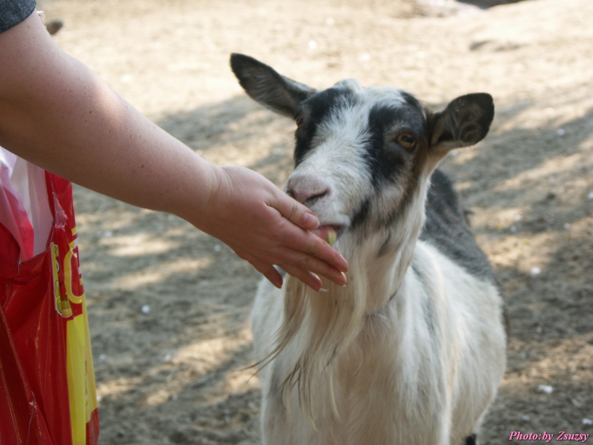 pict6713.jpg
