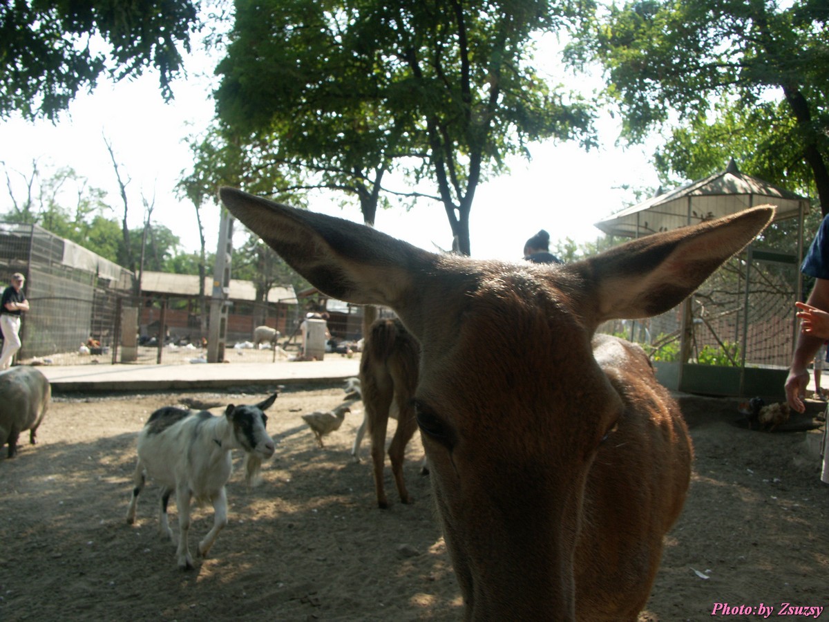 pict6714.jpg
