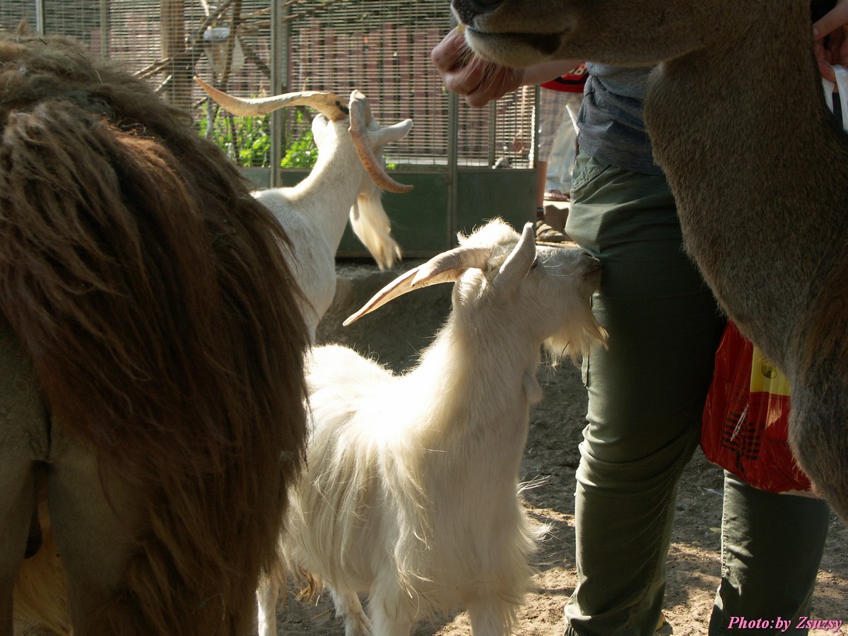 pict6721.jpg