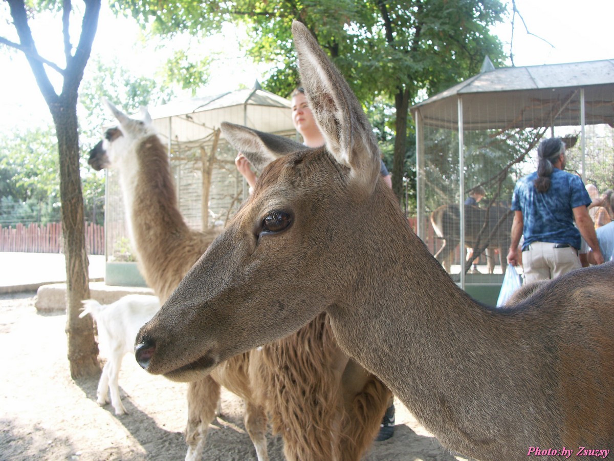 pict6723.jpg