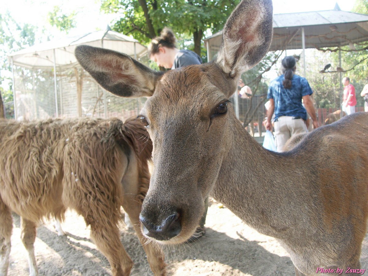pict6724.jpg