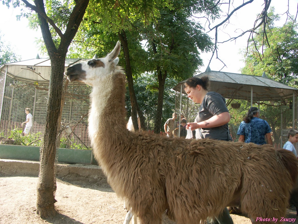 pict6725.jpg