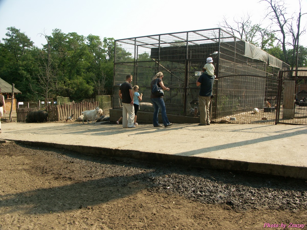 pict6726.jpg