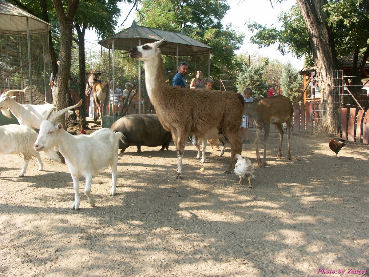 pict6729.jpg