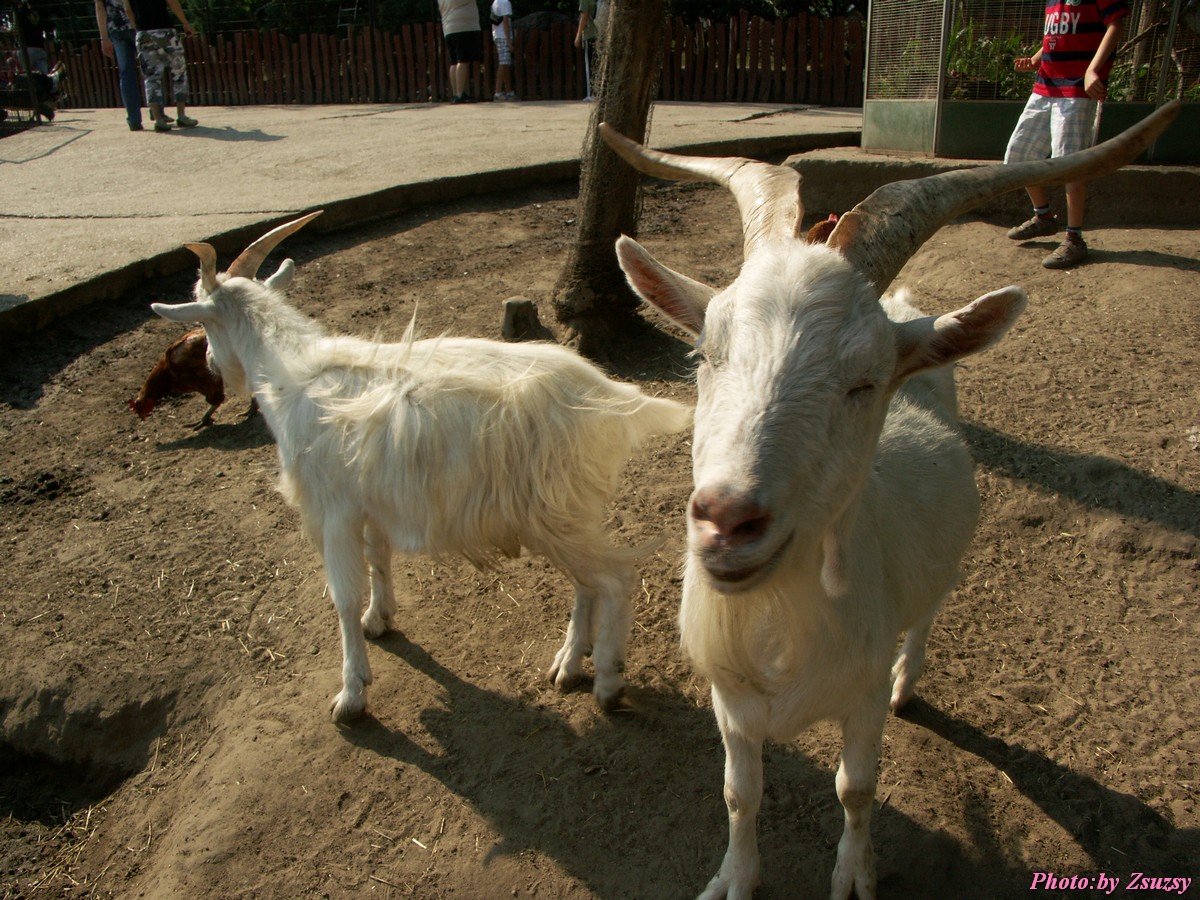 pict6735.jpg