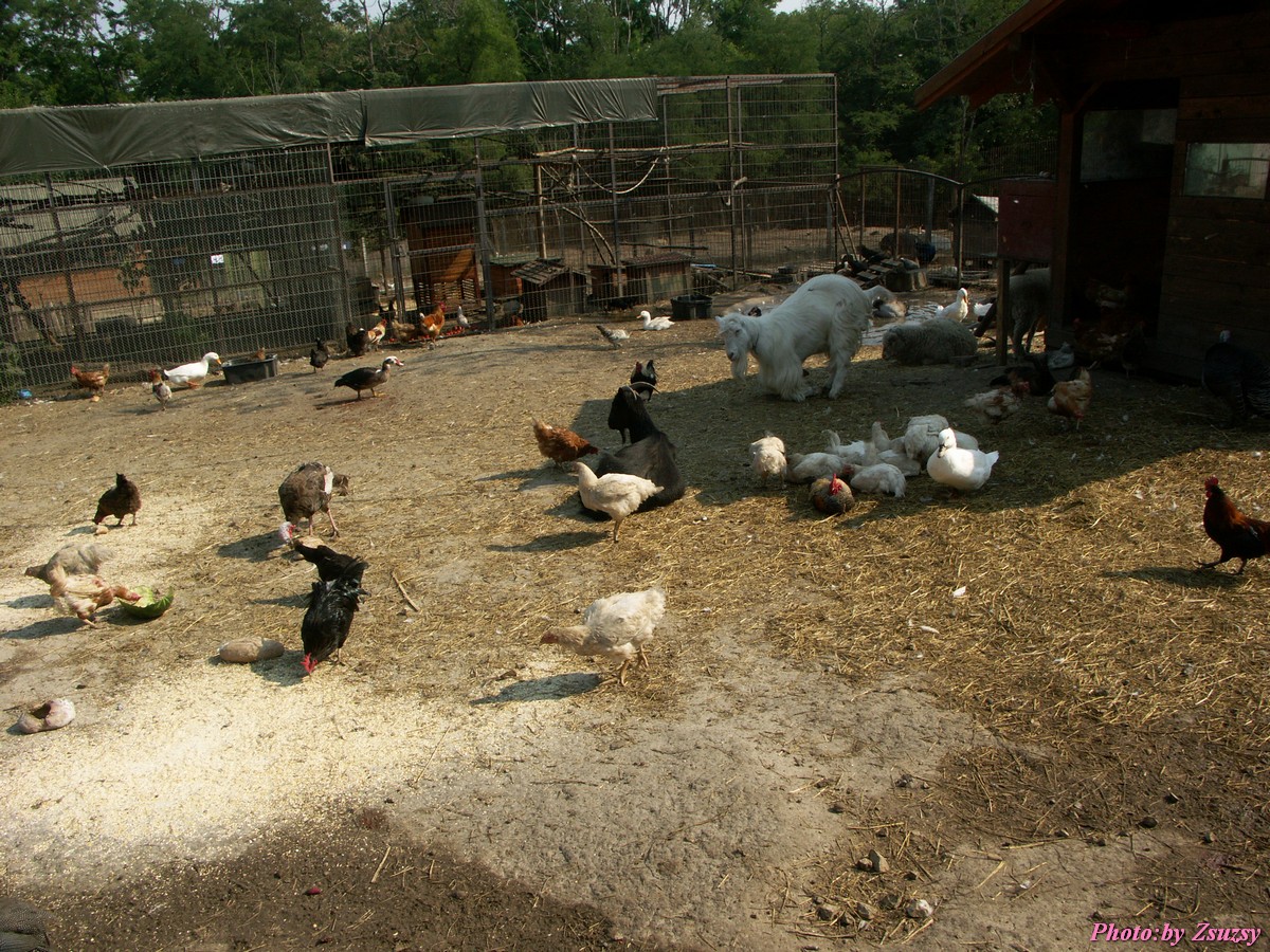 pict6740.jpg