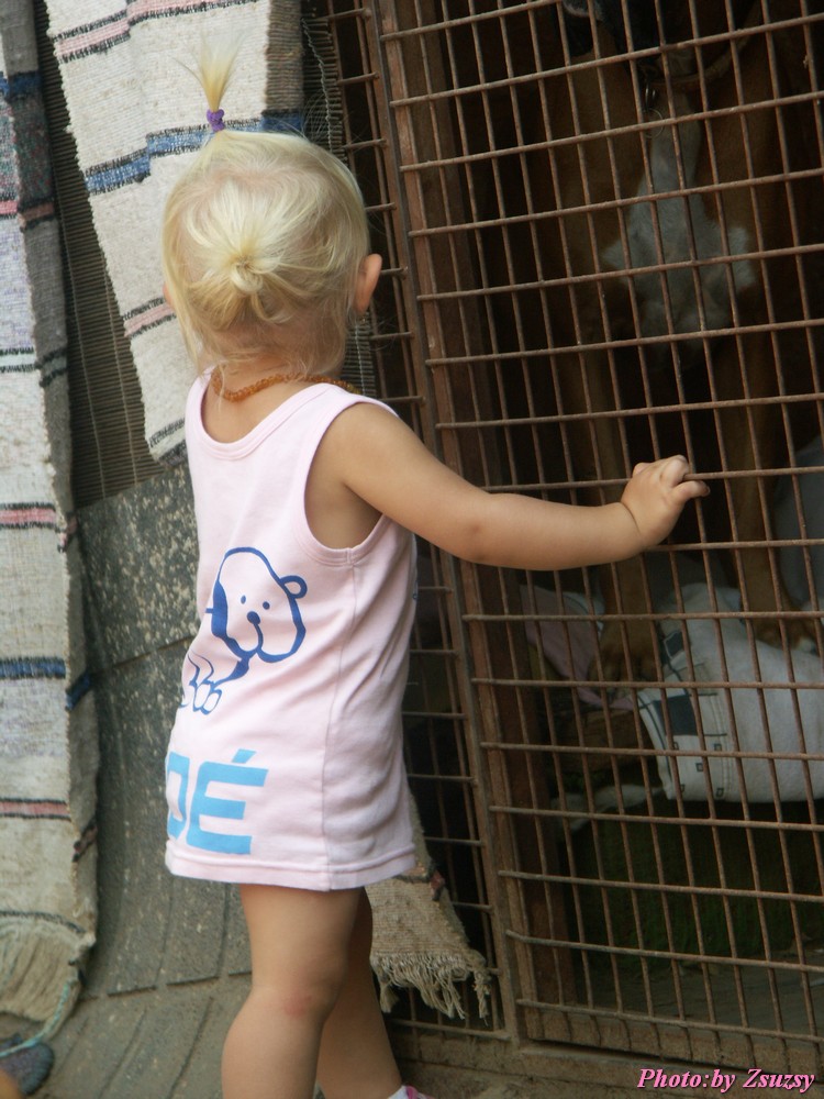 pict6763.jpg