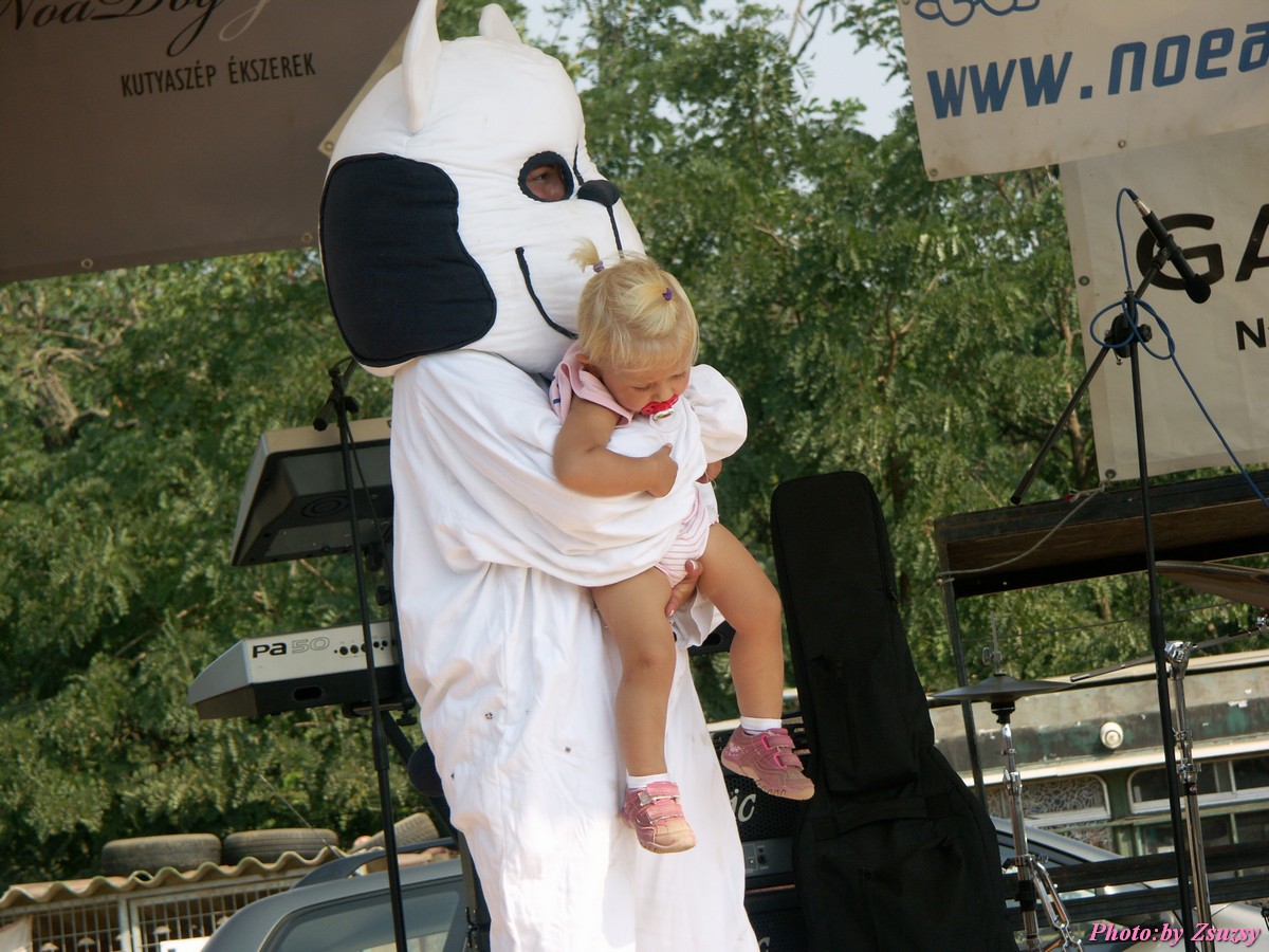 pict6775.jpg