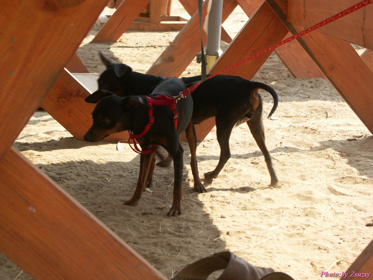 pict6812.jpg