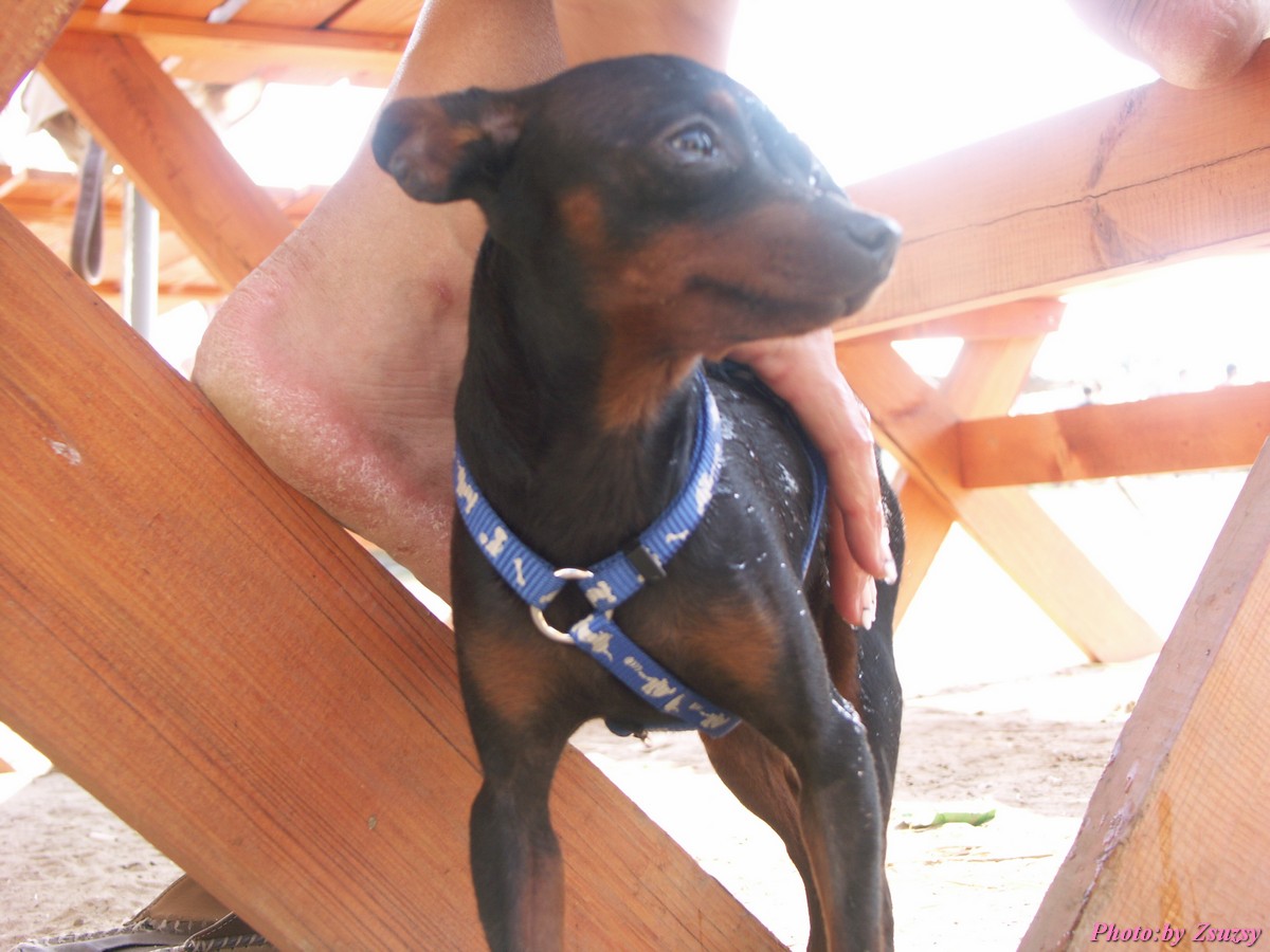 pict6820.jpg